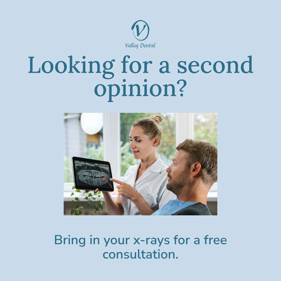 Free Consultation Special